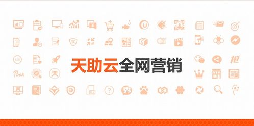 天助网24小时在线 做网站优化公司哪家好 湛江优化公司